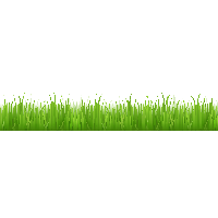 Green Grass Background png download  29621274  Free Transparent Easy  English Vocabulary png Download  CleanPNG  KissPNG