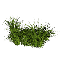 Download Grass Free PNG photo images and clipart | FreePNGImg