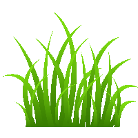 Grass Png Image Green Grass Png Picture
