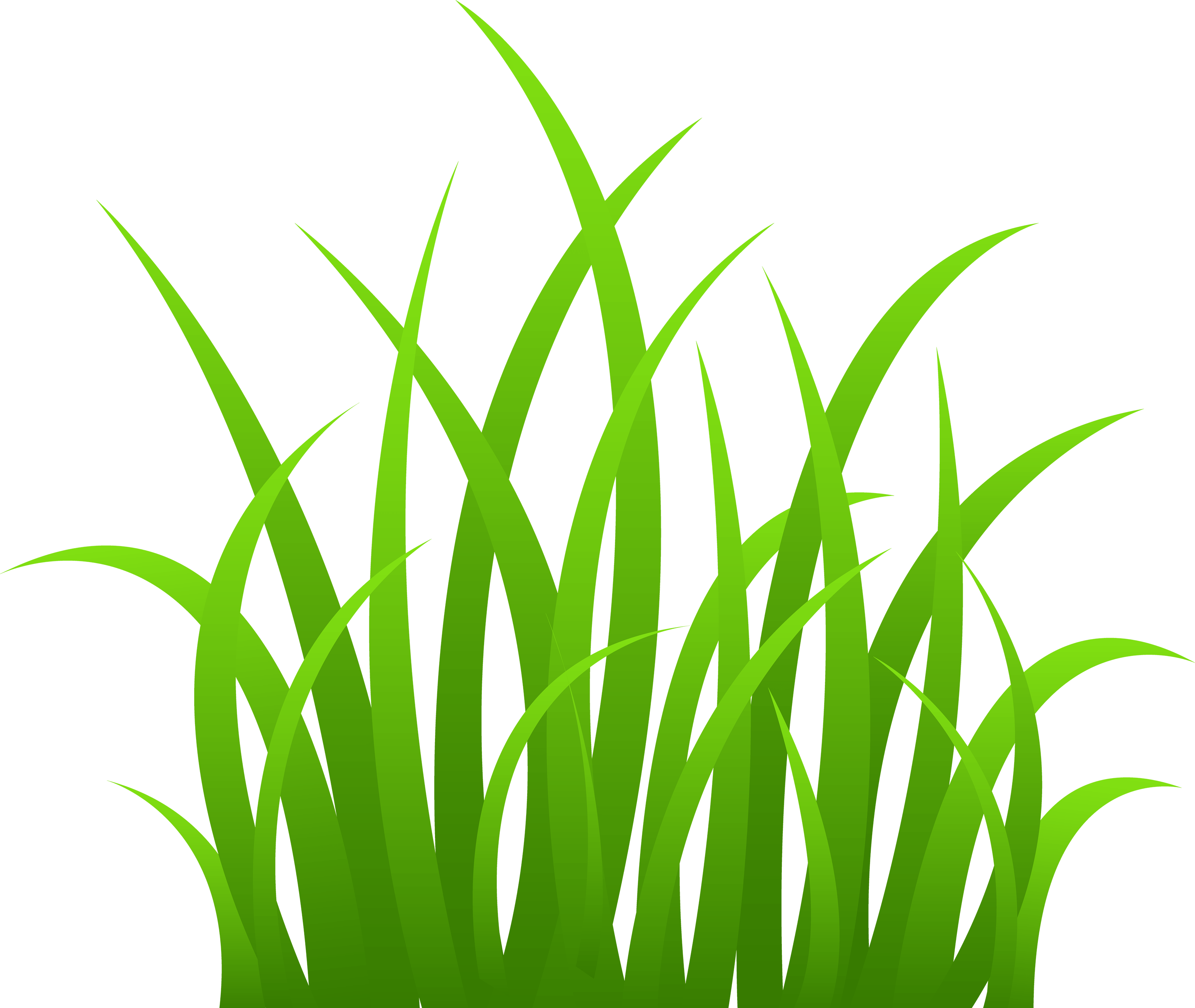 Download Grass Png Image Green Grass Png Picture Hq Png Image Freepngimg