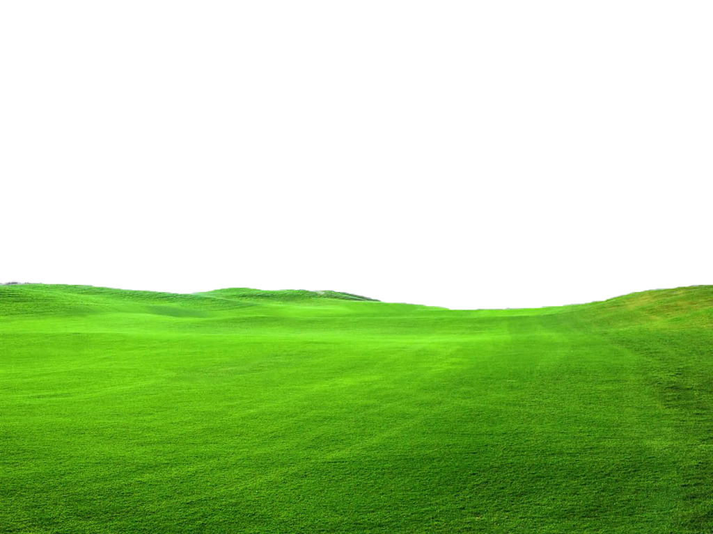 Grass Png Pic PNG Image