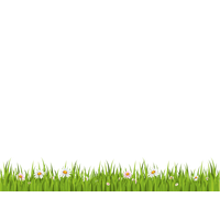 Grass Png File PNG