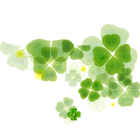 Shamrock Clover Leaf Fourleaf HQ Image Free PNG PNG Image