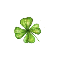 Shamrock Clover Leaf Fourleaf PNG Image High Quality PNG Image