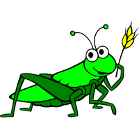 Download Grasshopper Photo HQ PNG Image | FreePNGImg