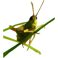 Grasshopper Free Download PNG