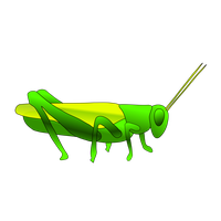 Grasshopper Transparent Image Transparent Hq Png Download 