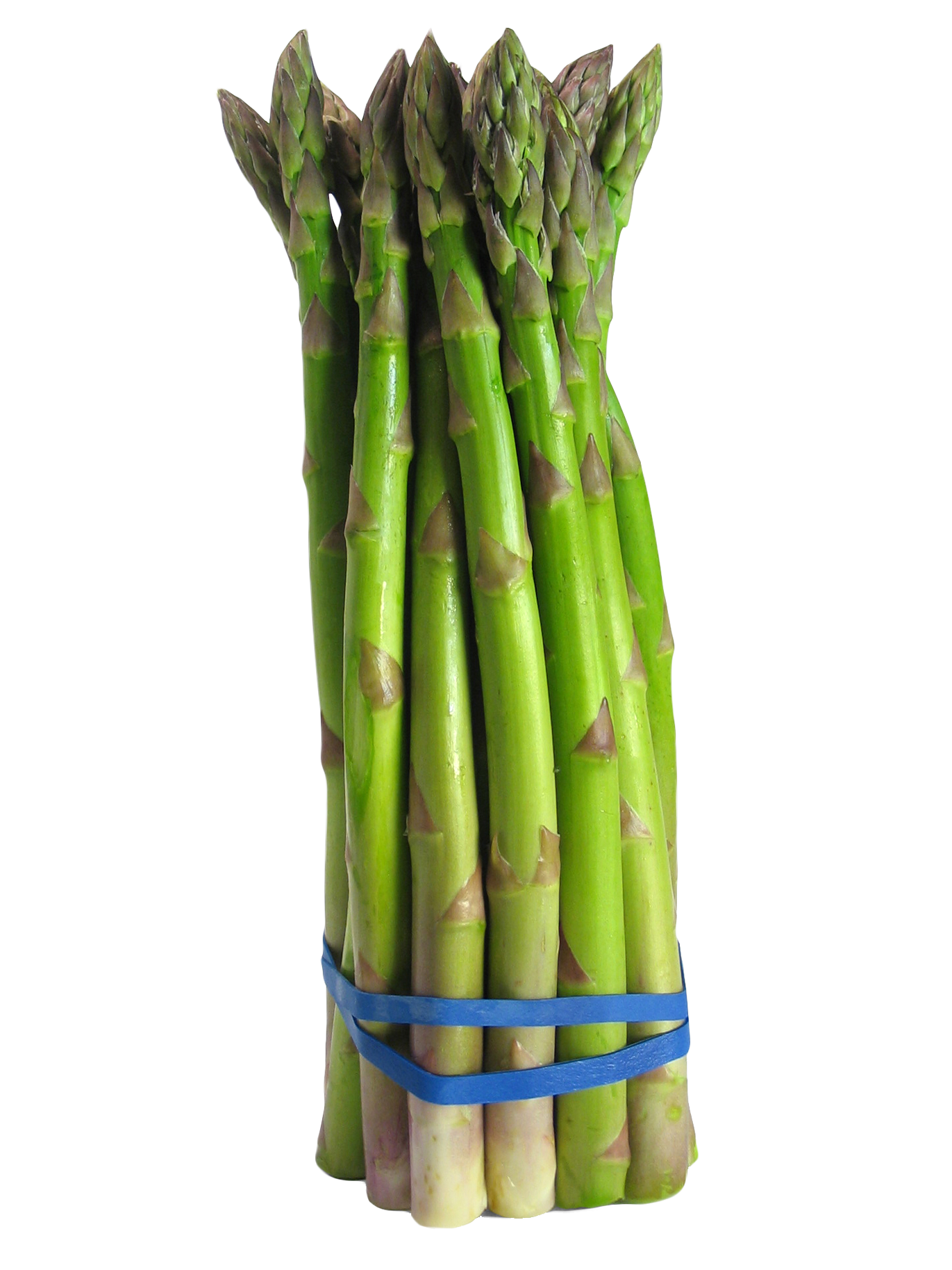 Asparagus Picture Bundle PNG File HD PNG Image