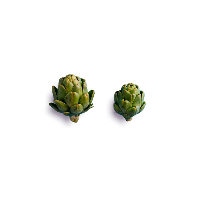 Single Artichoke Free HQ Image PNG Image