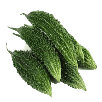 Gourd Fresh Bitter Free HQ Image PNG