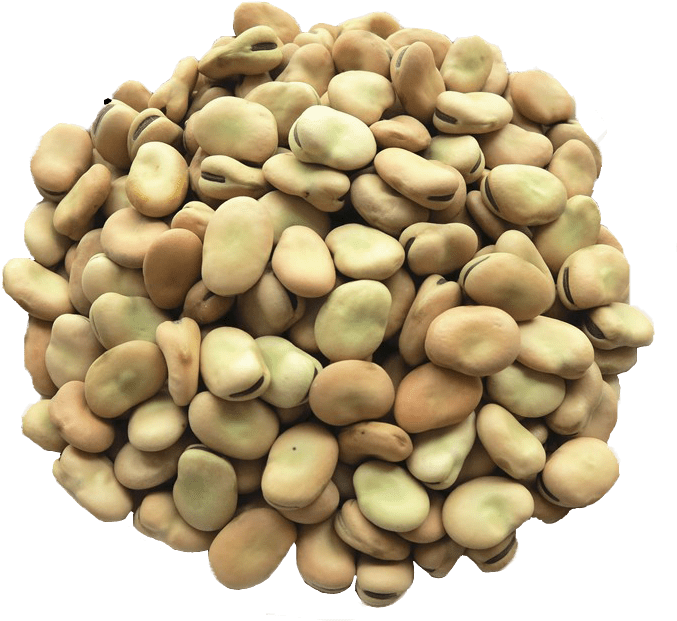 Beans Dried PNG Image High Quality PNG Image
