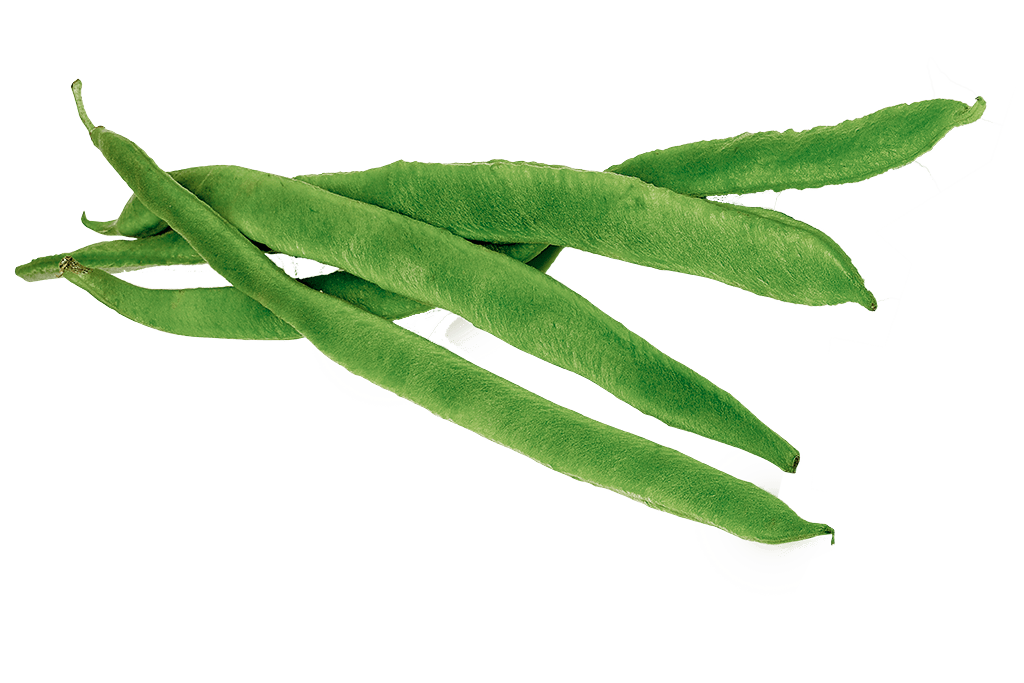 Fresh Beans PNG Image High Quality PNG Image