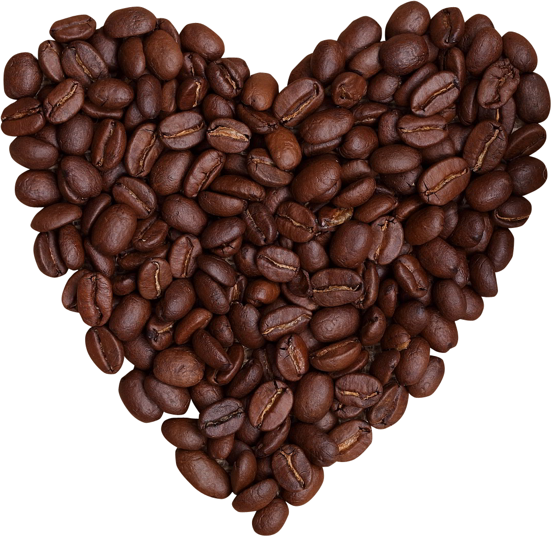Fresh Coffee Beans PNG Download Free PNG Image