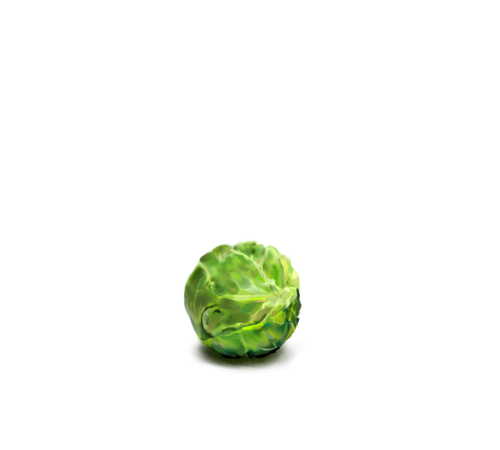 Sprouts Brussels Free PNG HQ PNG Image