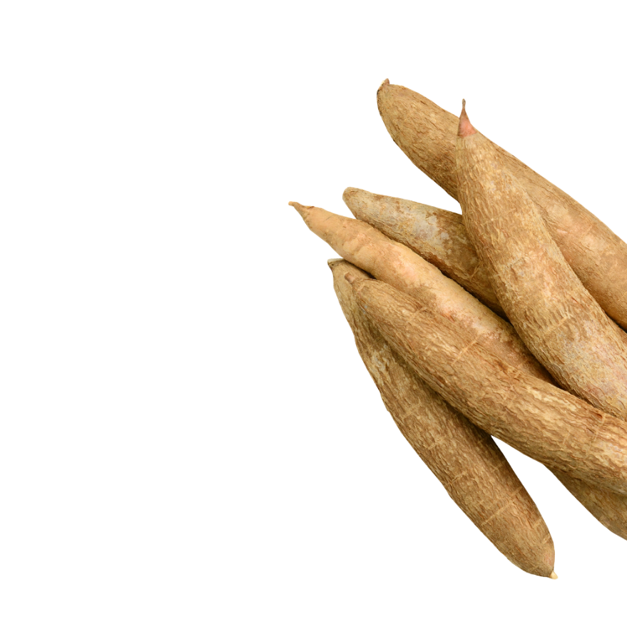 Organic Cassava PNG File HD PNG Image