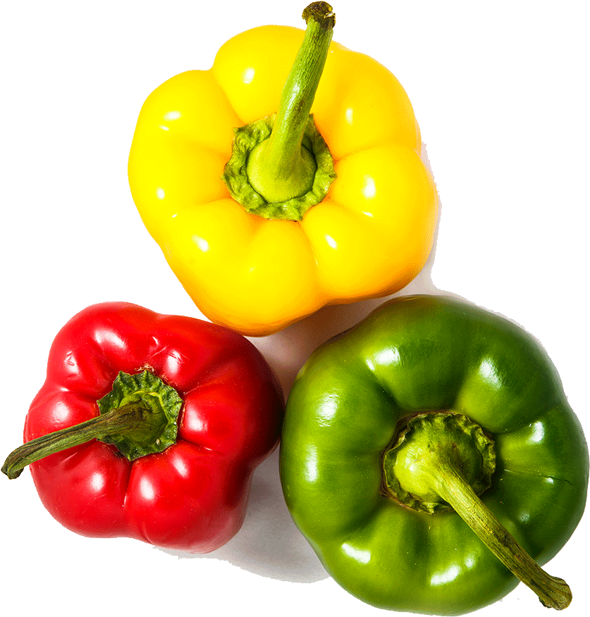 And Chilli Capicum Photos Green Red PNG Image