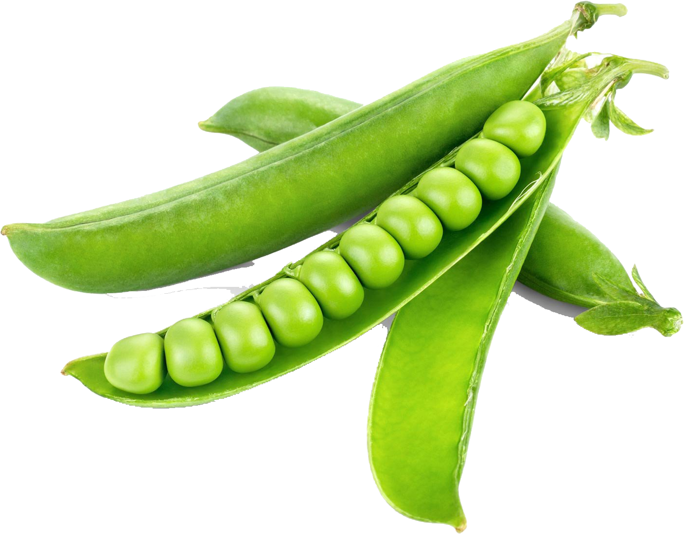 Green Organic Pea Photos Free Download PNG HQ PNG Image