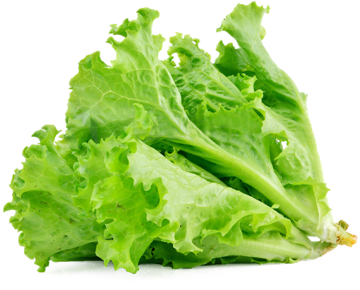 Celtuce Green PNG Image High Quality PNG Image