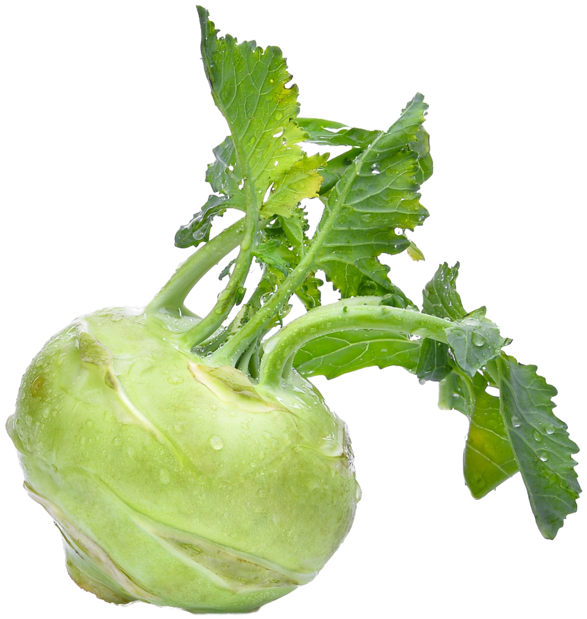 Kohlrabi Free Clipart HQ Transparent PNG Image