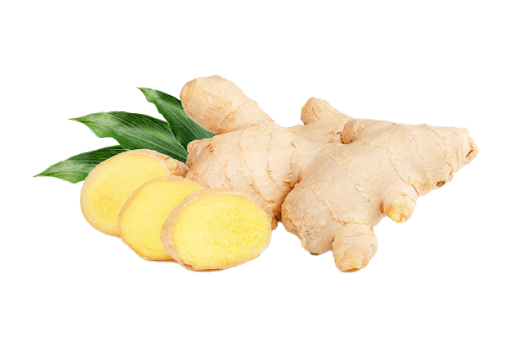 Fresh Galangal HQ Image Free PNG Image