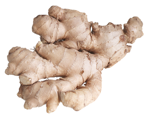 Fresh Galangal Download HD PNG Image