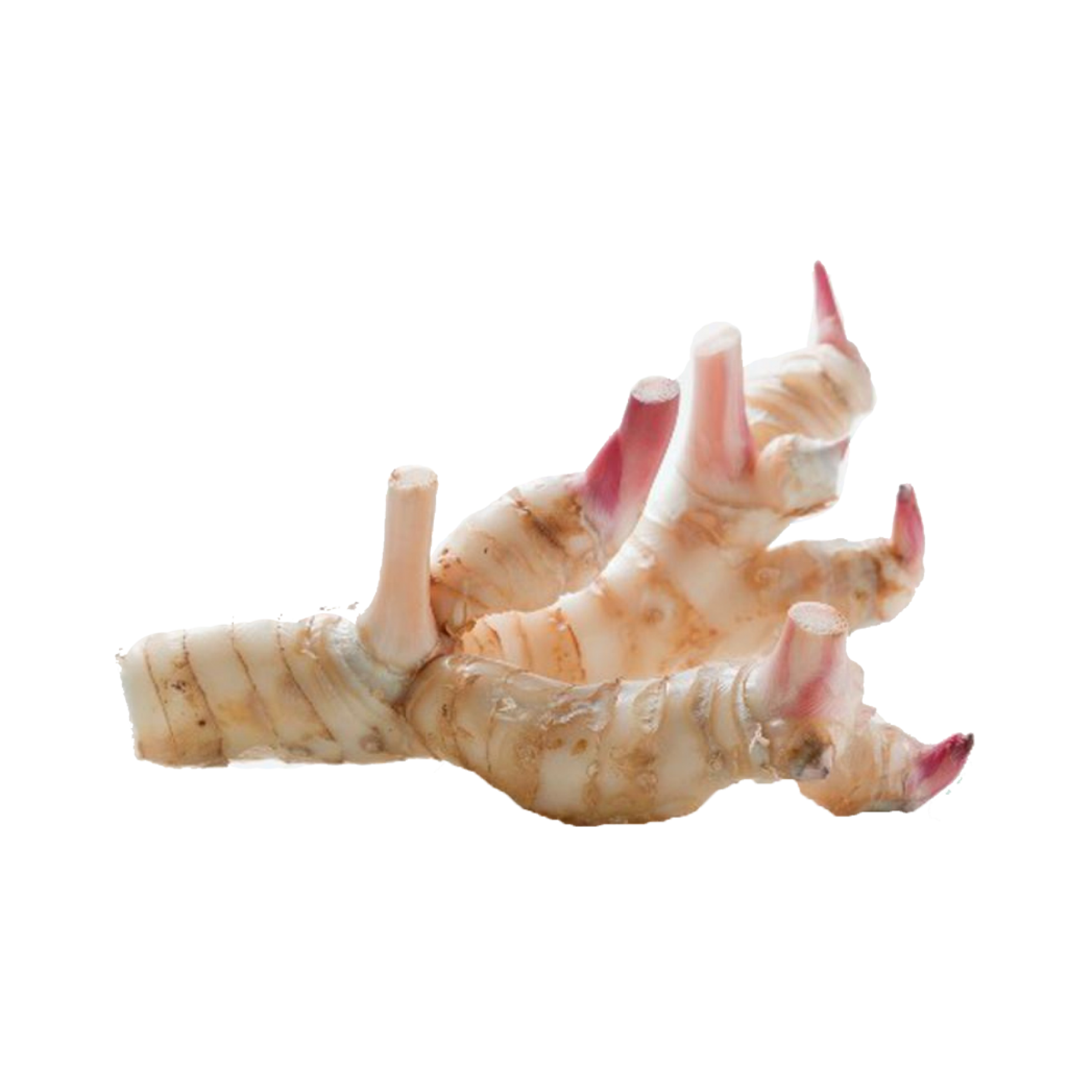 Pic Galangal Free Photo Transparent PNG Image