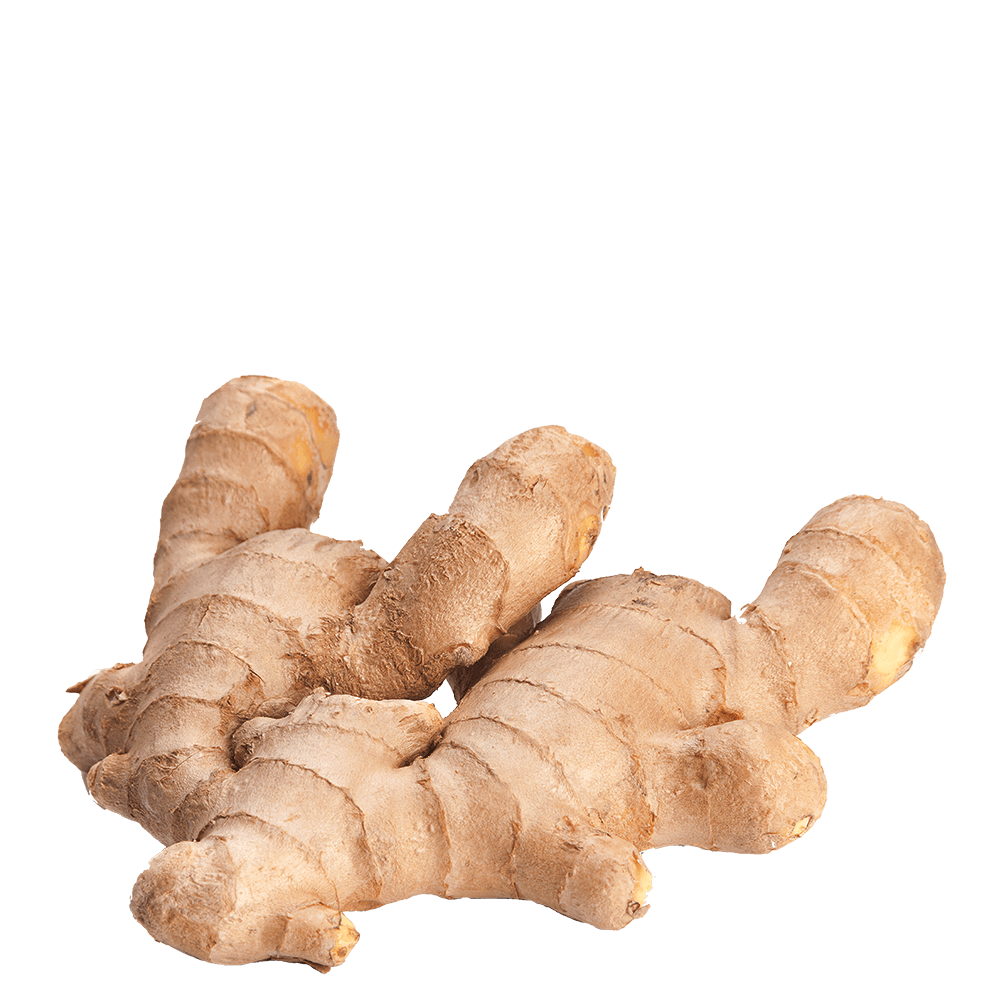 Galangal Free Clipart HD PNG Image