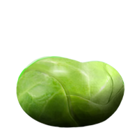 Green bean Transparent PNG Image