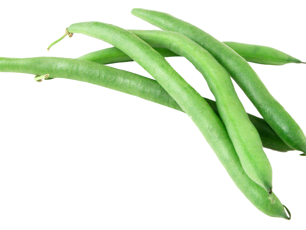 Green bean Transparent PNG Image