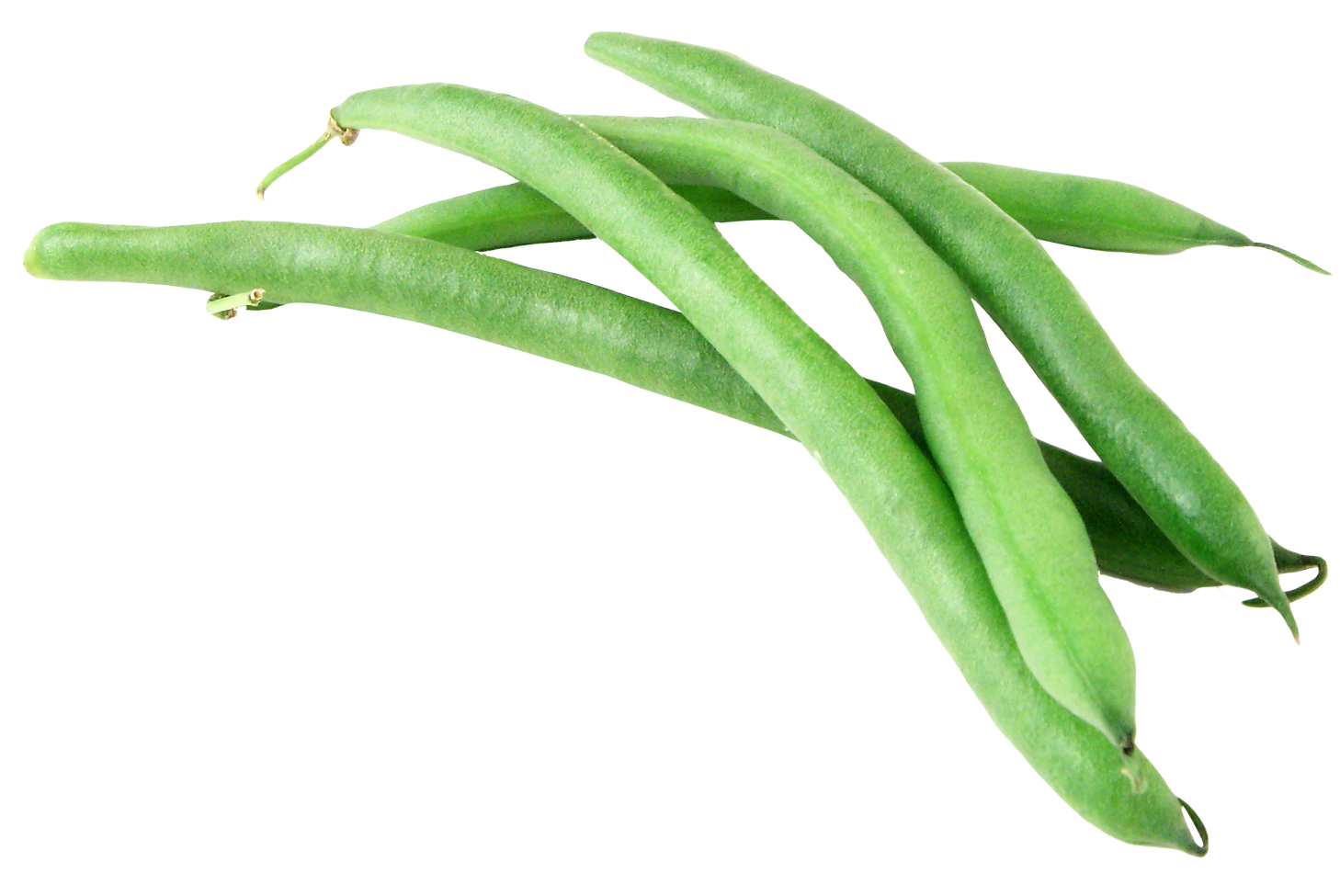 Green bean Transparent PNG Image