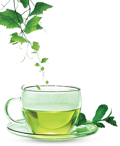 Green Tea Clipart PNG Image