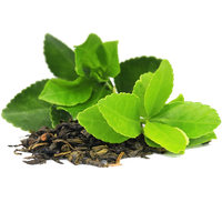 Green Tea Transparent Image PNG Image