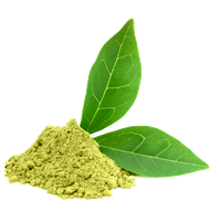 Green Tea Photos PNG Image