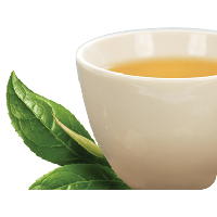 Green Tea Png Clipart PNG Image