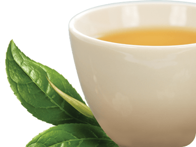 Green Tea Png Clipart PNG Image