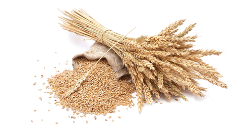 Grain Picture PNG Image High Quality PNG Image