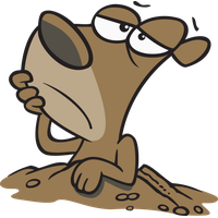 Groundhog Day Cartoon Toad True Frog For Greeting Cards