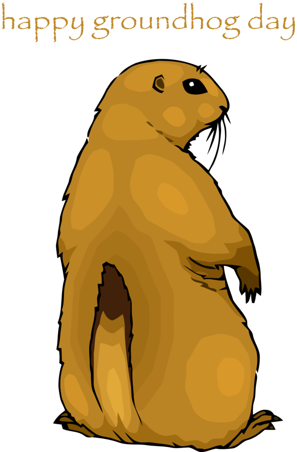 Groundhog Day Gopher Marmot For Party 2020 PNG Image