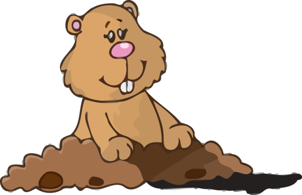 Groundhog Day Cartoon Brown Bear Grizzly For Greeting Cards PNG Image