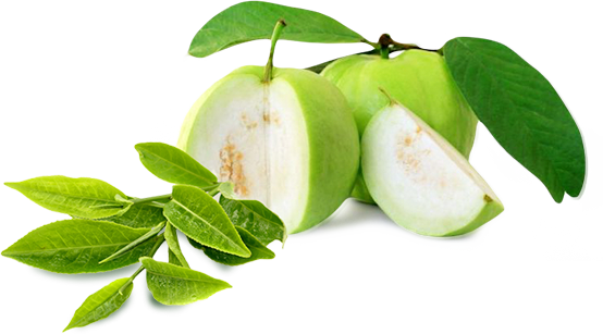 Guava Download Png PNG Image
