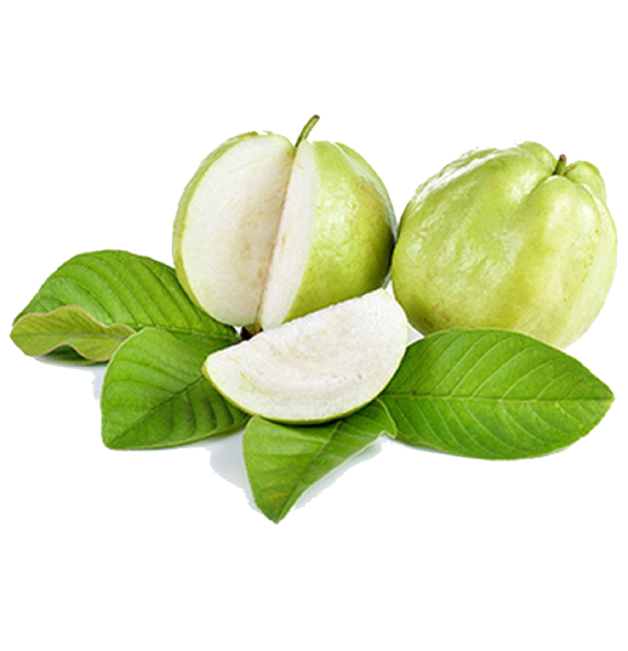 Photos Guava Free Clipart HD PNG Image