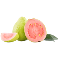 Guava Free HD Image PNG Image