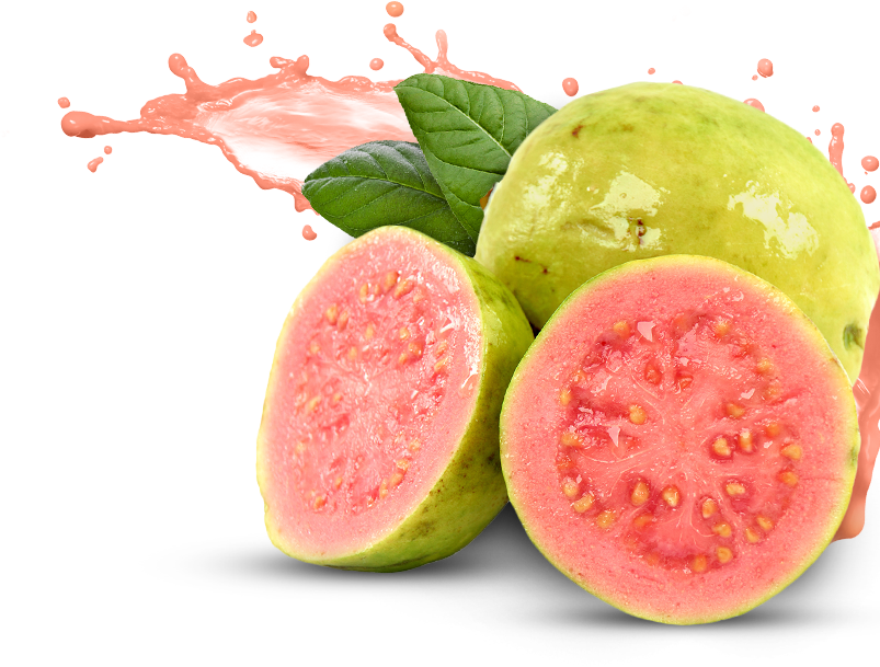 Pink Guava HQ Image Free PNG Image