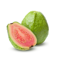 Guava Transparent
