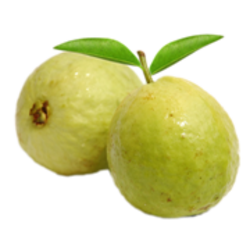 Guava Png Hd PNG Image