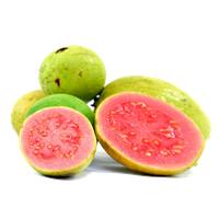 Guava Png Image