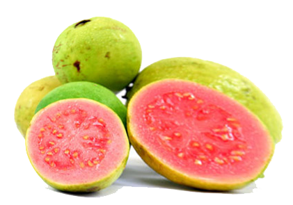 Guava Png Image PNG Image