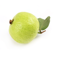 Guava Free Download Png PNG Image