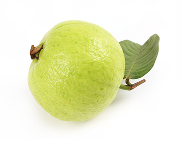 Guava Free Download Png PNG Image