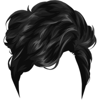 Download Hair Free PNG photo images and clipart  FreePNGImg